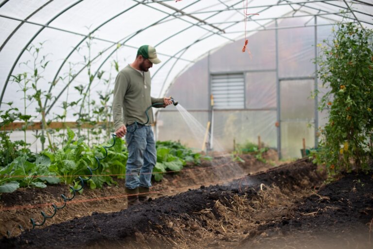 Photo Greenhouse